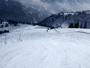 Maulerhubel slope
