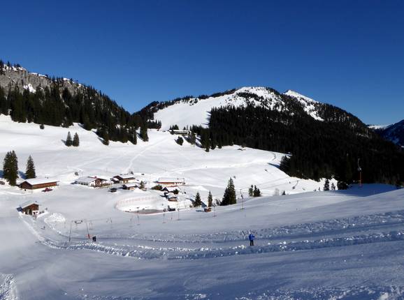 View of the Firstalmen with Brecherspitz in the background
