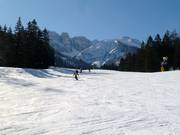Valley run