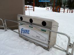 Fernie