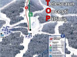 Ski resort Păltiniș