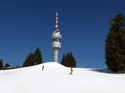Snezhanka Peak with TV tower