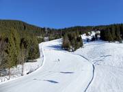 Sutten run