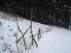 Bavarian Alpine Foreland: environmental friendliness of the ski resorts – Environmental friendliness Hanslmühle – Mauern