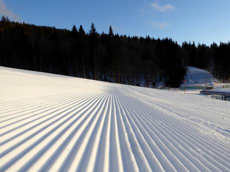 Slope preparation Upper Austria (Oberösterreich) – Slope preparation Hochficht