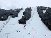 View of the Cougar, Holy Land, and Exhibition slopes