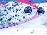 Downhill Gondola