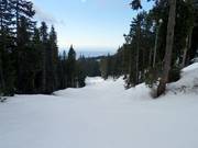 Pete's downhill run