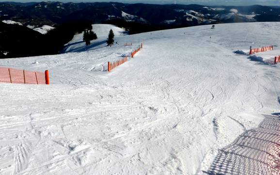 Slope offering Wiesental – Slope offering Belchen