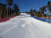 Easy slope Vezzena