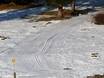 Cross-country skiing Zugspitzland – Cross-country skiing Am Ried – Farchant
