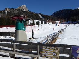 Larciunei