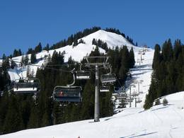 Wildgunten