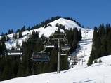Wildgunten