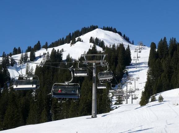 Wildgunten