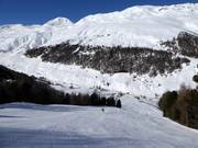 Rojen descent