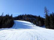 Black valley run
