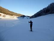 Weirerteich trail