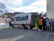 Celerinabus