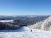 Lower Bavaria (Niederbayern): size of the ski resorts – Size Mitterdorf – Almberg