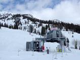 Marmot