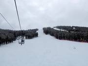 Cougar slope