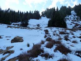 Grouse Mountain