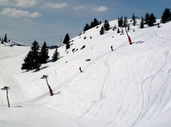 Schweibe