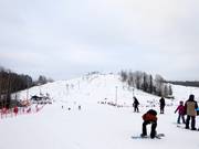 View over the Talma ski area