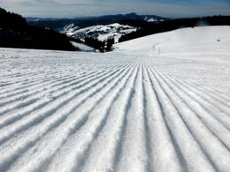 Todtnauberg