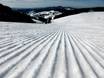 Slope preparation Southern Black Forest – Slope preparation Todtnauberg