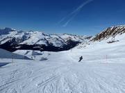 Slope No. 8 Jakobshorn Standard