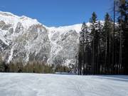Mittelstation slope