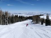 Slope at the McConkey's Express chairlift