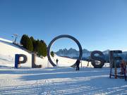 Plose