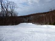 Easy slopes Nansen