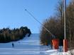 Snow reliability Regen – Snow reliability Geißkopf – Bischofsmais