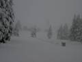 Slopes Timberline