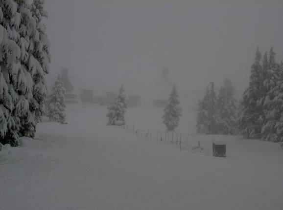 Slope in the Timberline ski area