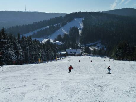 Slope offering Schwarzwaldhochstrasse – Slope offering Hundseck – Bühlertallifte