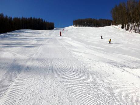 Slope offering Nice – Slope offering Auron (Saint-Etienne-de-Tinée)