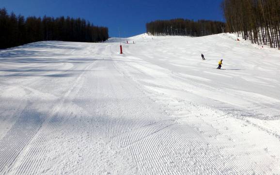 Slope offering Vallée de la Tinée – Slope offering Auron (Saint-Etienne-de-Tinée)