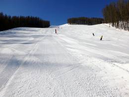 Auron (Saint-Etienne-de-Tinée)
