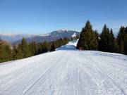 Panoramica slope No. 9