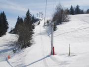 Verdette - J-bar