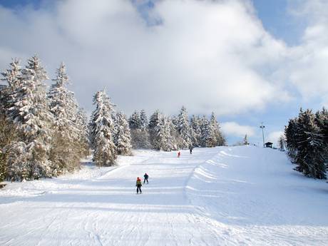 Ski resorts for beginners in the Administrative Region of Arnsberg – Beginners Sahnehang