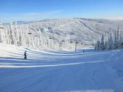 Cariboo slope