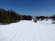 Slope at Rimmler-Moos