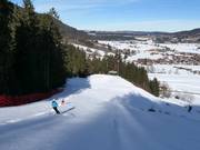 Steckenberg I slope
