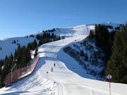 Family Slope Aberg